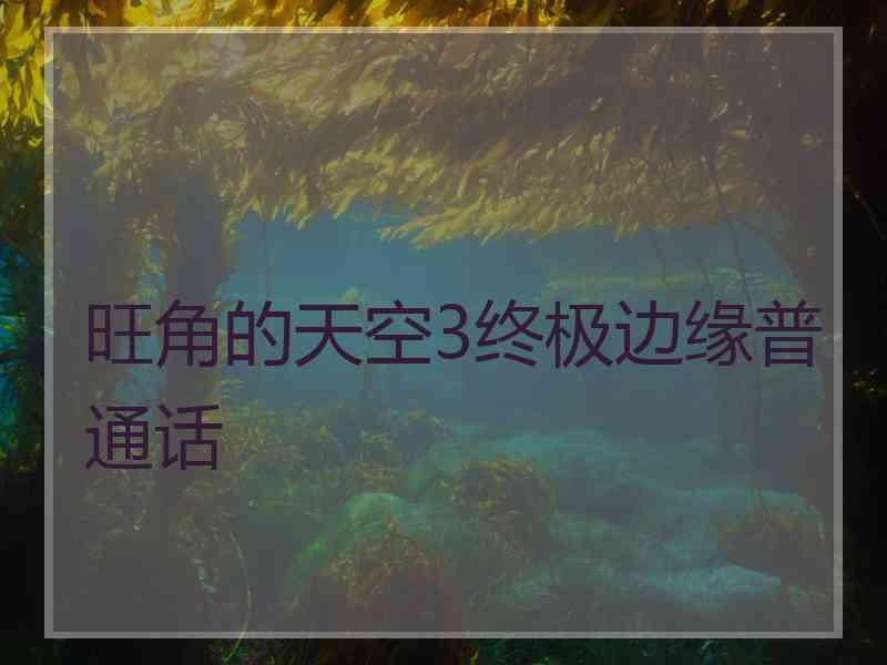 旺角的天空3终极边缘普通话