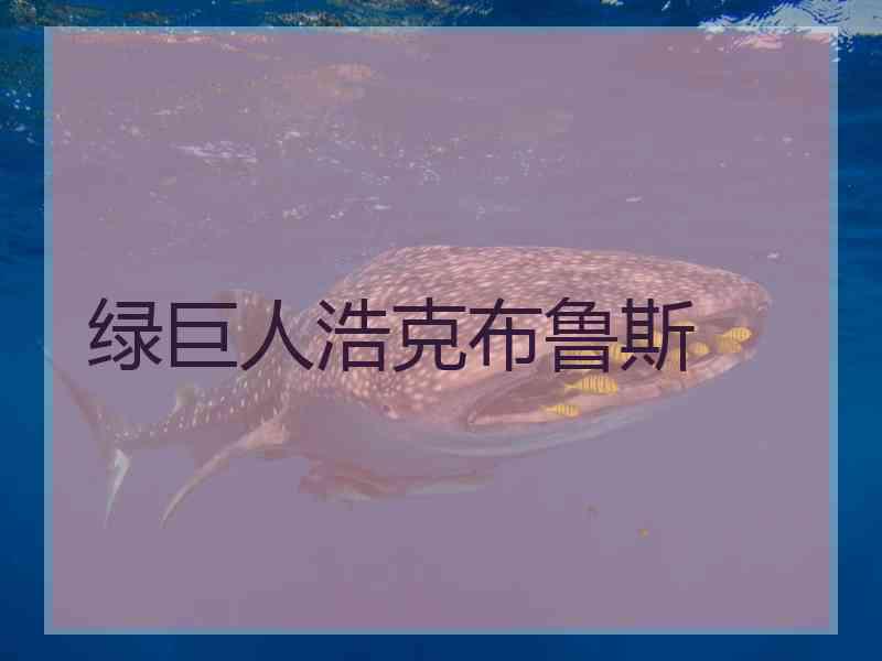 绿巨人浩克布鲁斯