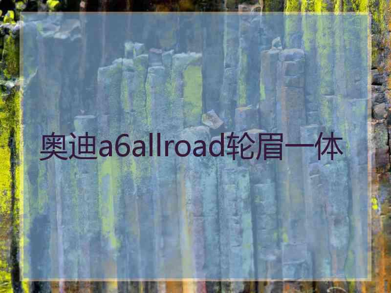 奥迪a6allroad轮眉一体