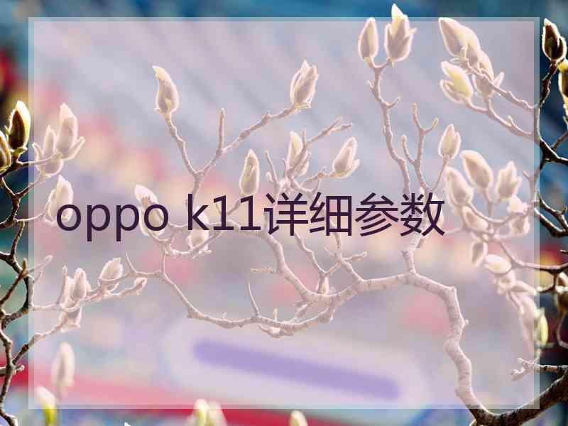 oppo k11详细参数