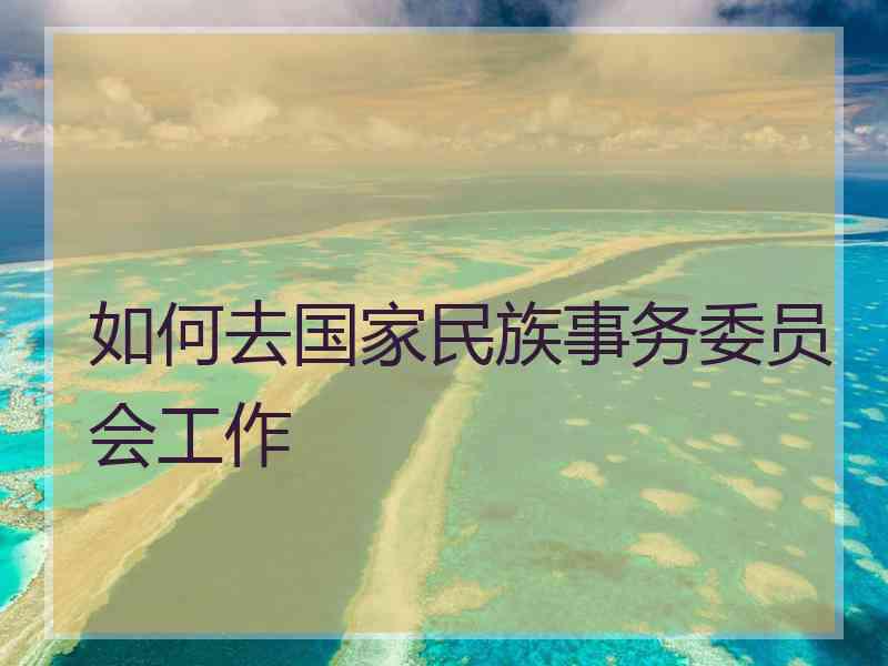 如何去国家民族事务委员会工作