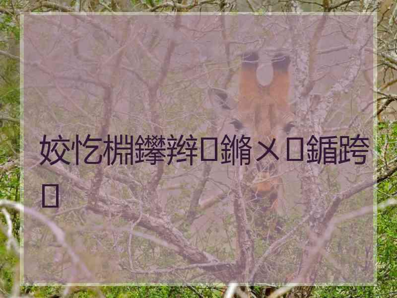 姣忔棩鑻辫鏅ㄨ鍎跨