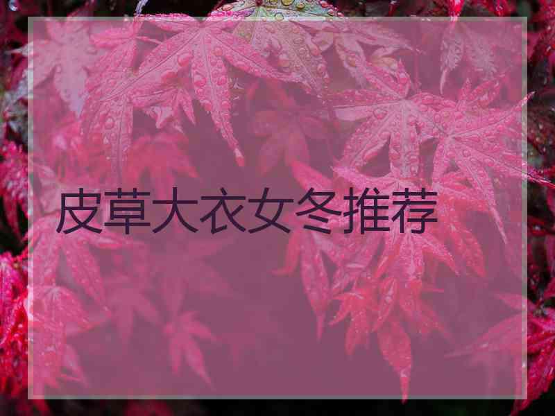 皮草大衣女冬推荐