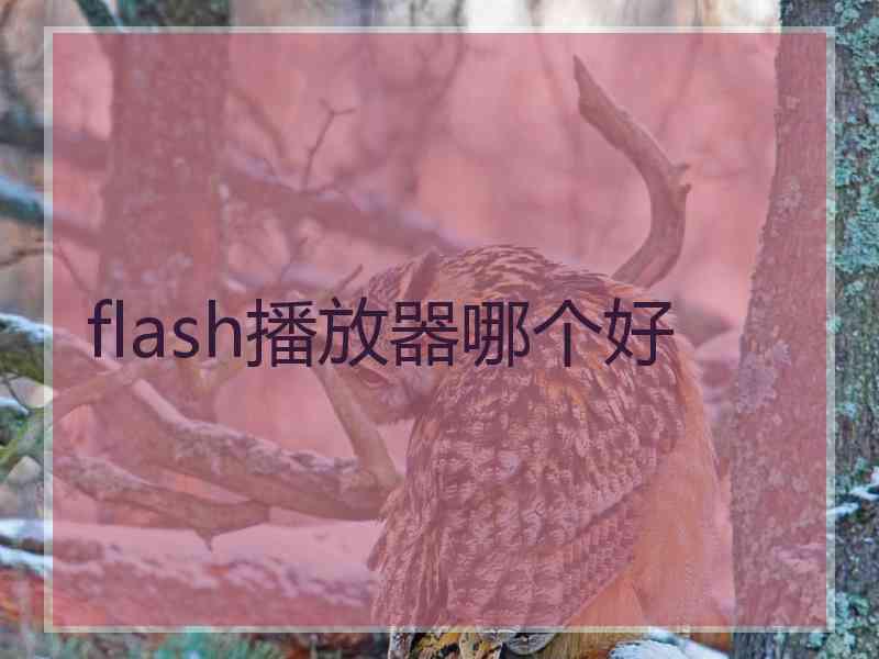 flash播放器哪个好