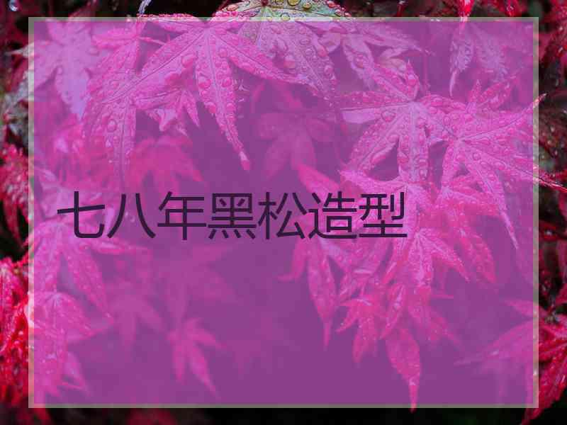 七八年黑松造型