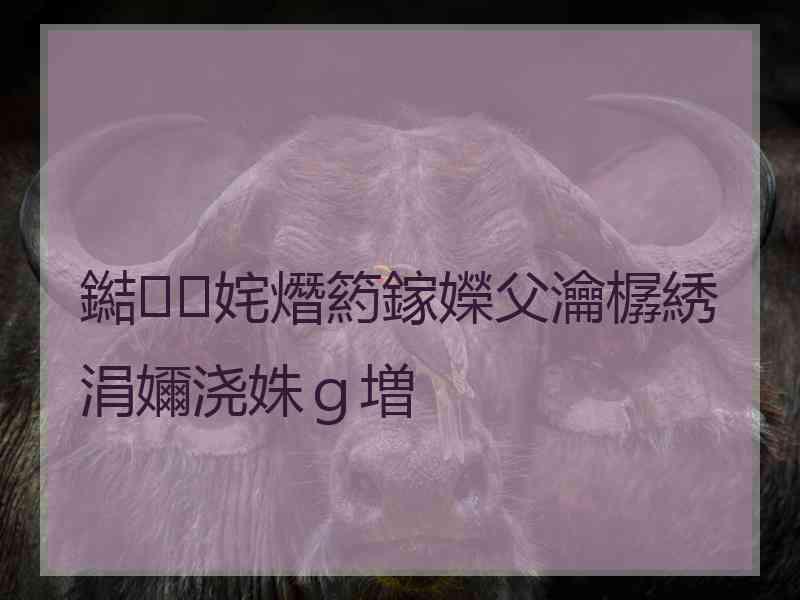 鐑姹熸箹鎵嬫父瀹樼綉涓嬭浇姝ｇ増