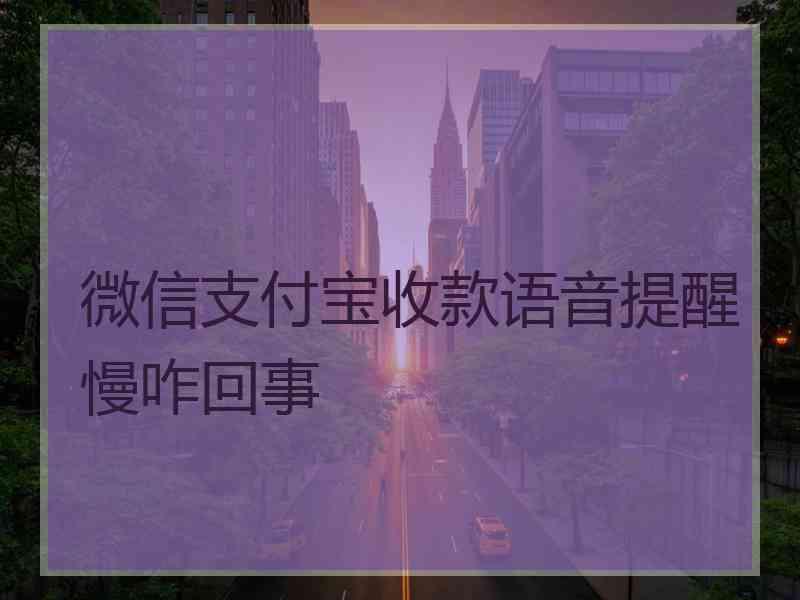 微信支付宝收款语音提醒慢咋回事