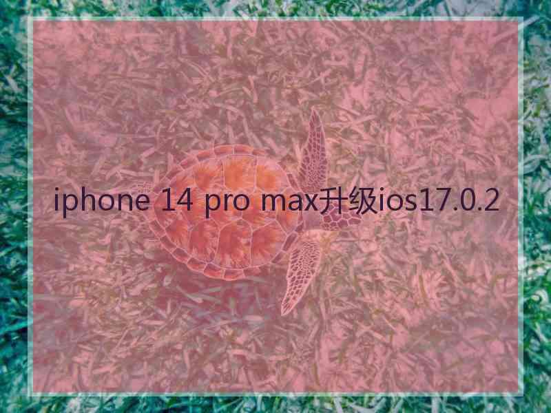 iphone 14 pro max升级ios17.0.2