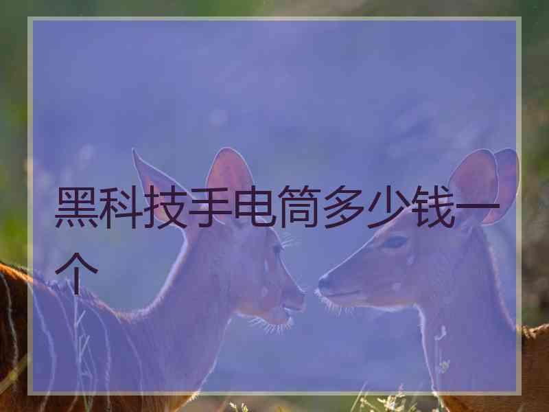 黑科技手电筒多少钱一个