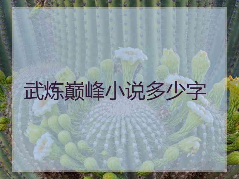 武炼巅峰小说多少字