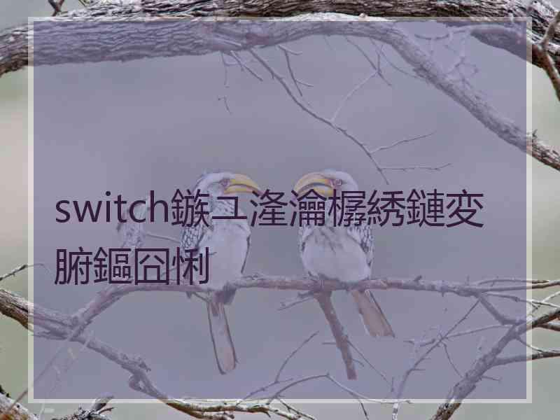 switch鏃ユ湰瀹樼綉鏈変腑鏂囧悧