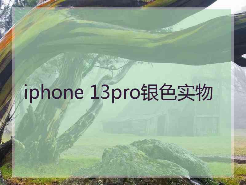 iphone 13pro银色实物