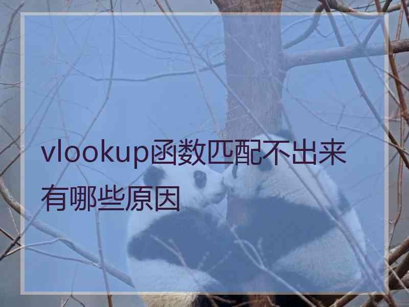 vlookup函数匹配不出来有哪些原因