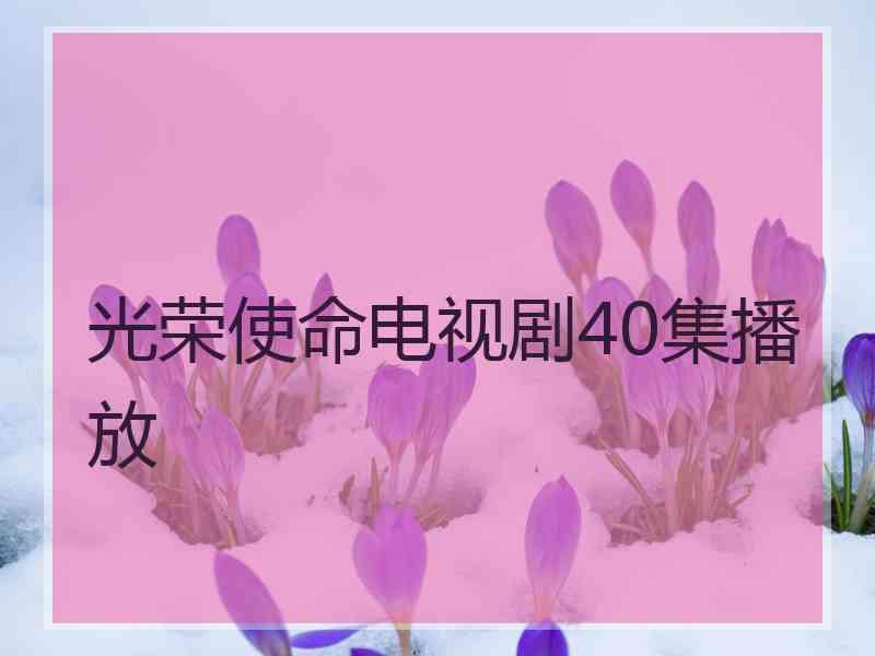 光荣使命电视剧40集播放