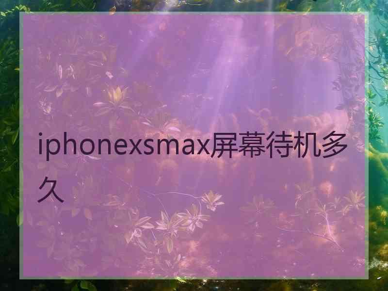 iphonexsmax屏幕待机多久