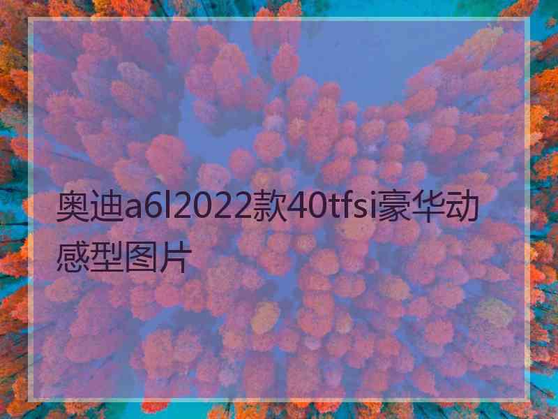 奥迪a6l2022款40tfsi豪华动感型图片