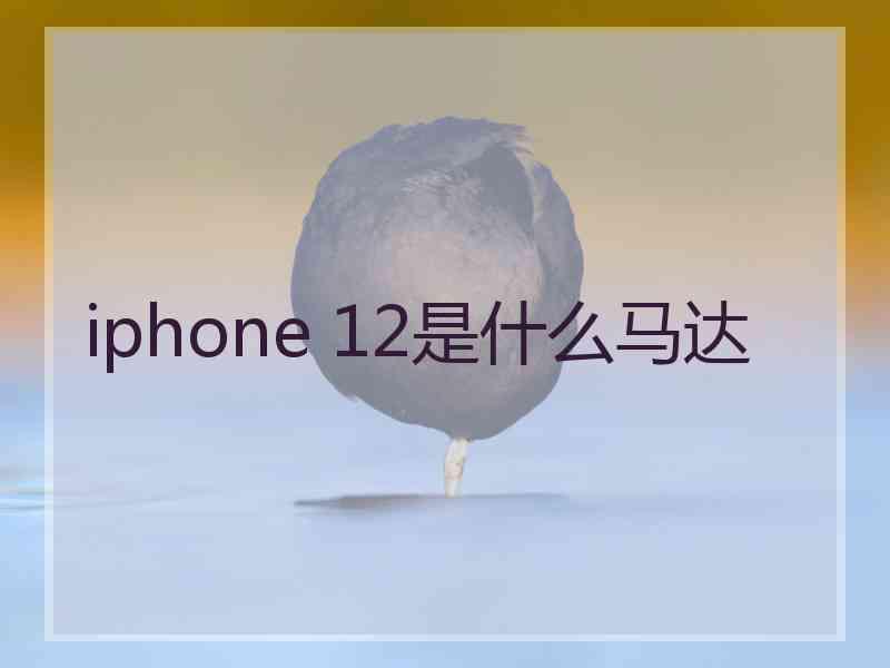 iphone 12是什么马达