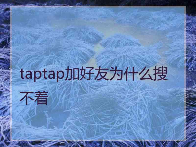 taptap加好友为什么搜不着