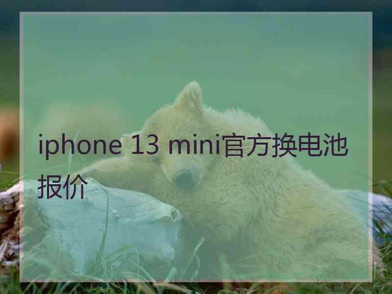 iphone 13 mini官方换电池报价