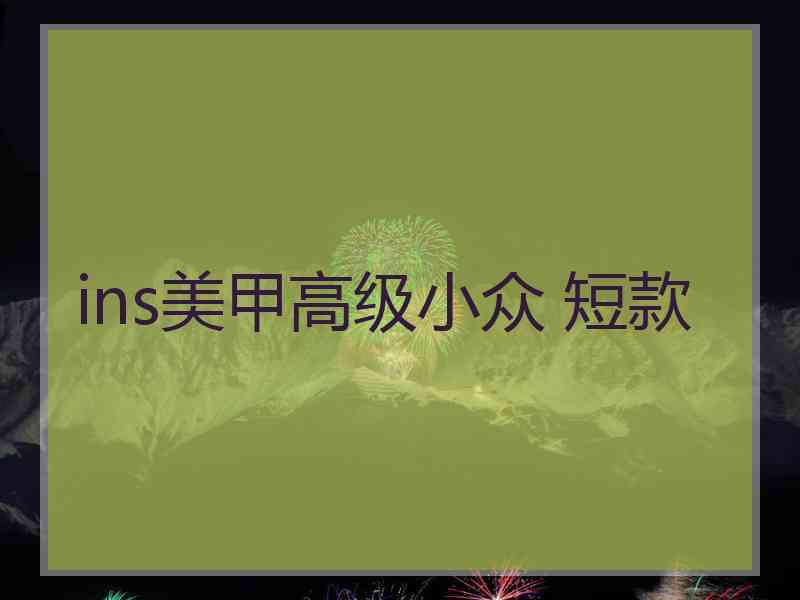 ins美甲高级小众 短款