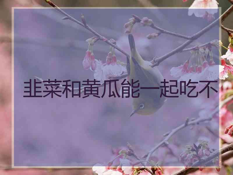 韭菜和黄瓜能一起吃不