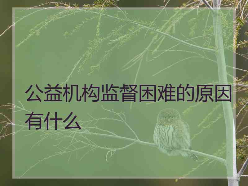 公益机构监督困难的原因有什么