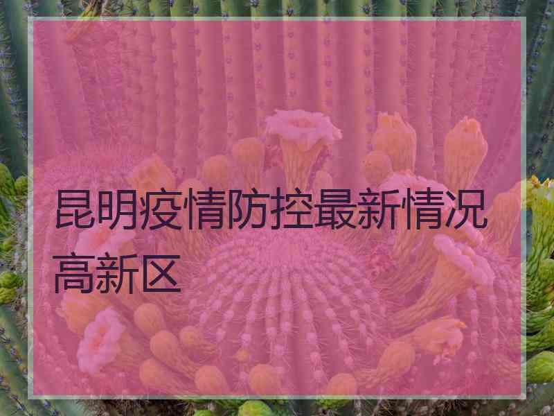 昆明疫情防控最新情况高新区