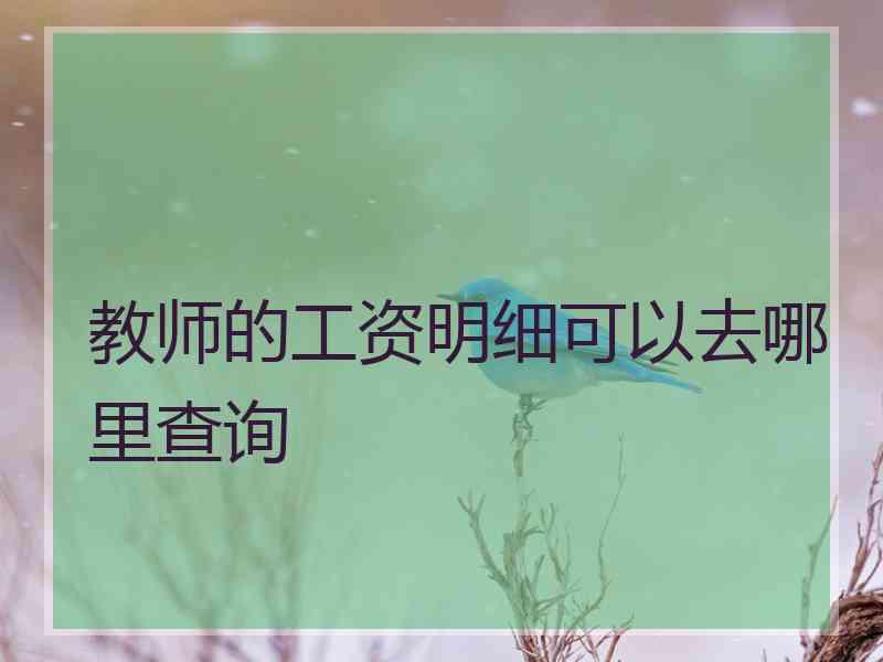 教师的工资明细可以去哪里查询