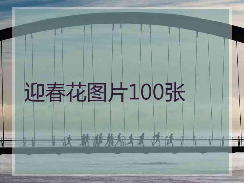 迎春花图片100张