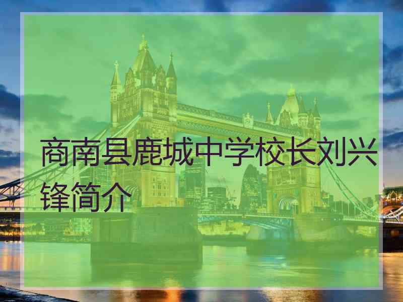 商南县鹿城中学校长刘兴锋简介