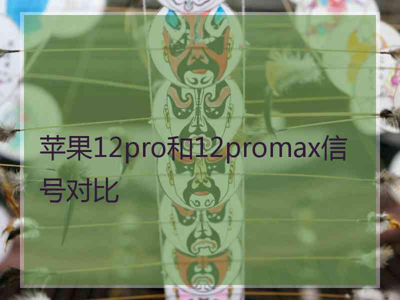 苹果12pro和12promax信号对比