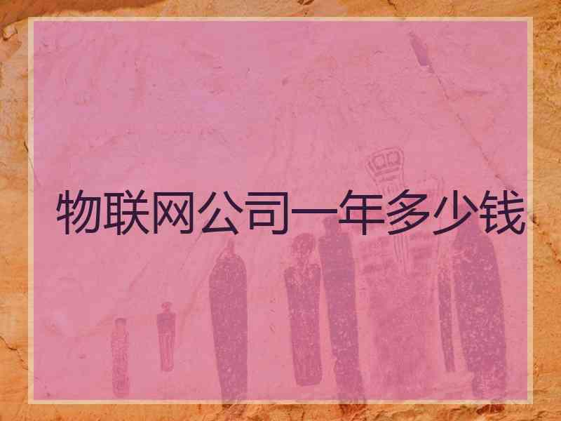 物联网公司一年多少钱