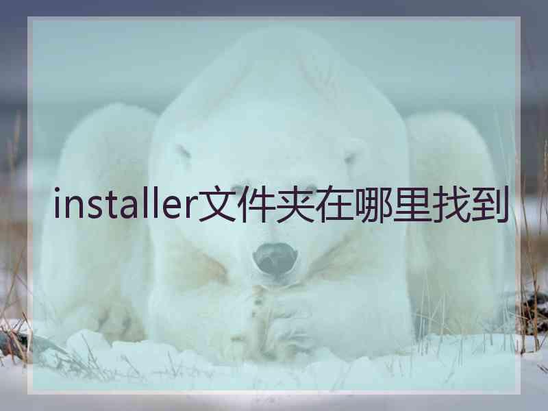 installer文件夹在哪里找到