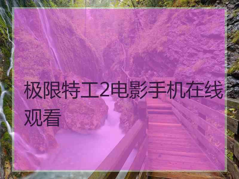 极限特工2电影手机在线观看