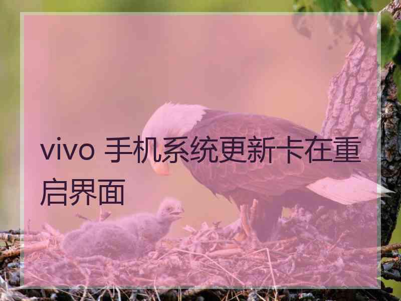 vivo 手机系统更新卡在重启界面