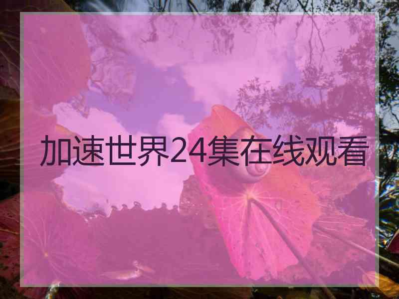 加速世界24集在线观看