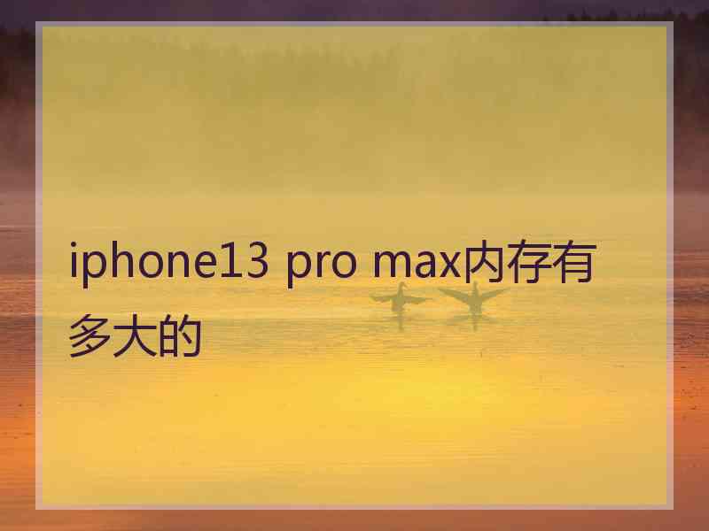 iphone13 pro max内存有多大的