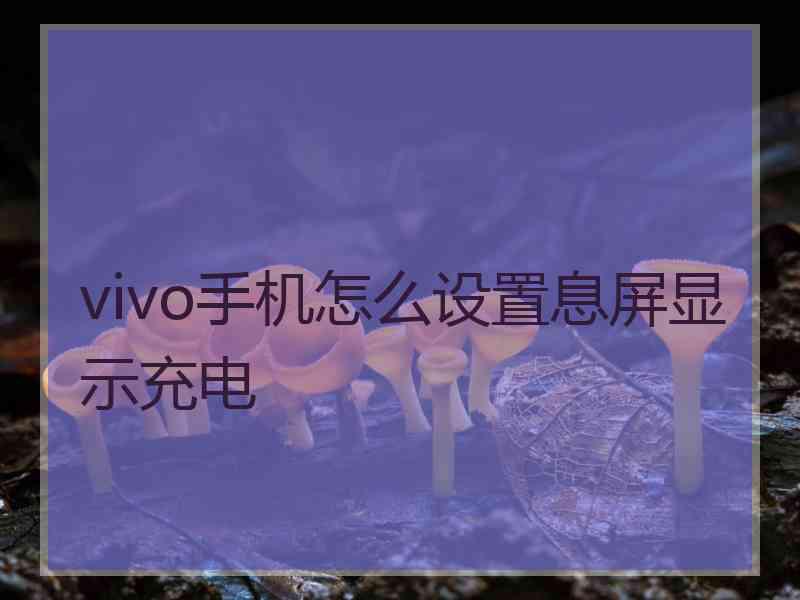 vivo手机怎么设置息屏显示充电