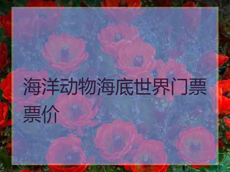 海洋动物海底世界门票票价