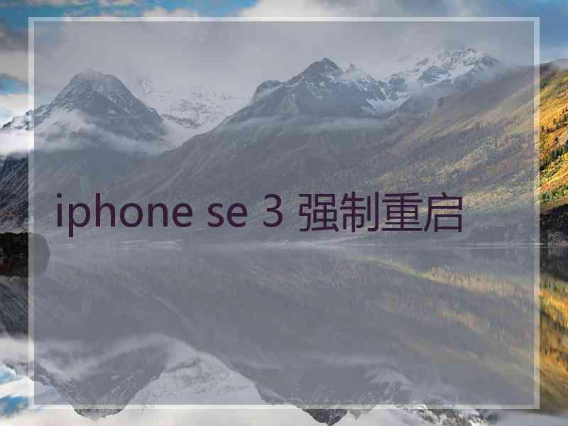 iphone se 3 强制重启