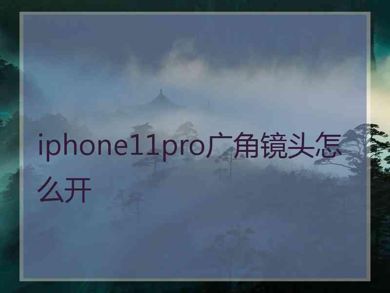 iphone11pro广角镜头怎么开