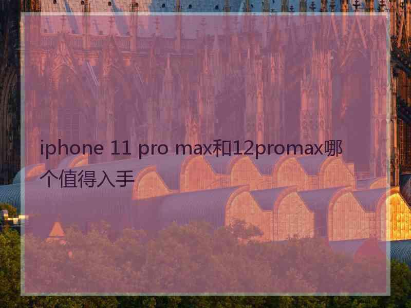 iphone 11 pro max和12promax哪个值得入手