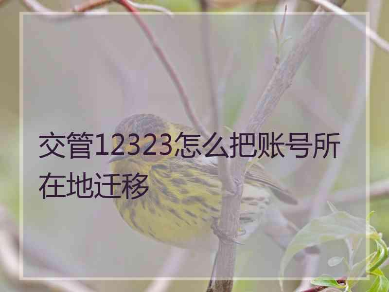 交管12323怎么把账号所在地迁移