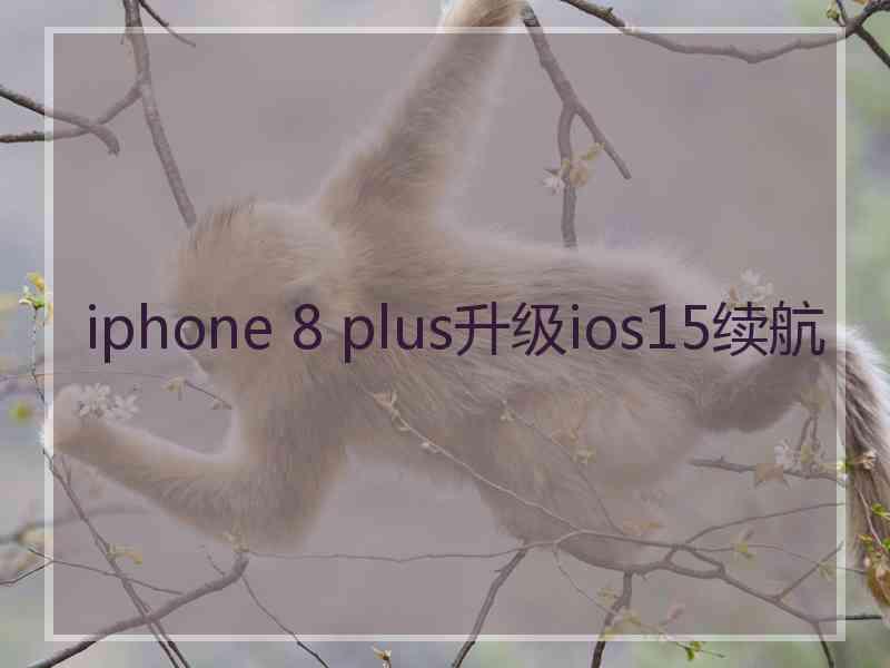 iphone 8 plus升级ios15续航