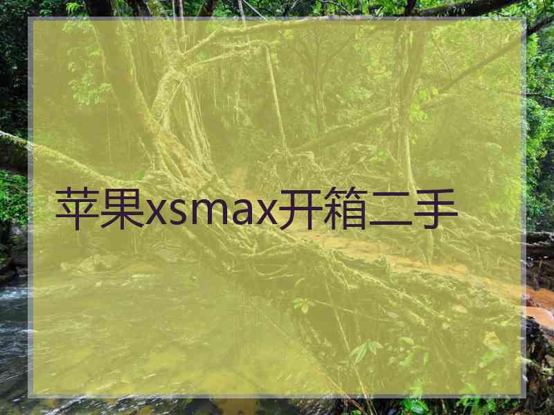 苹果xsmax开箱二手