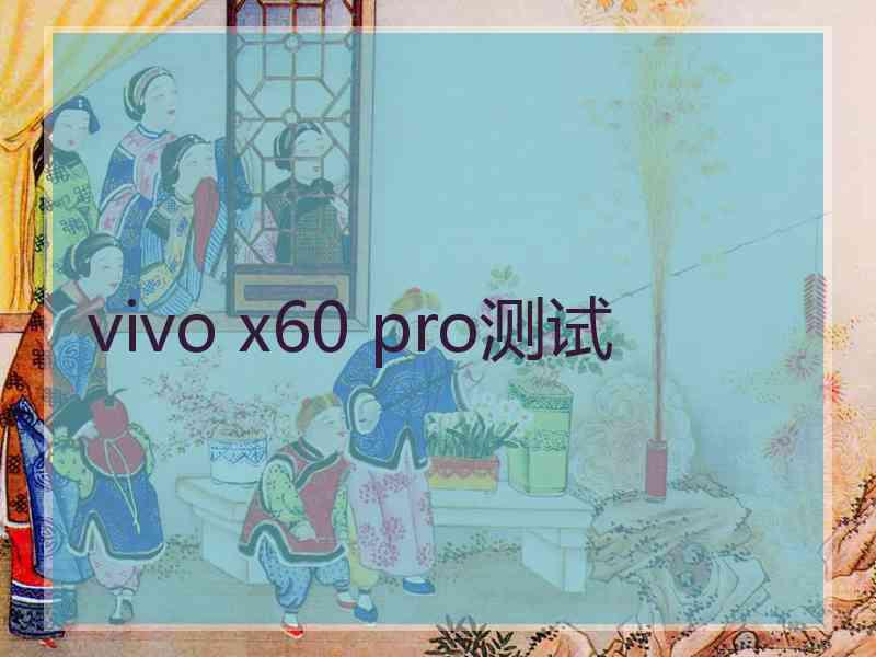 vivo x60 pro测试