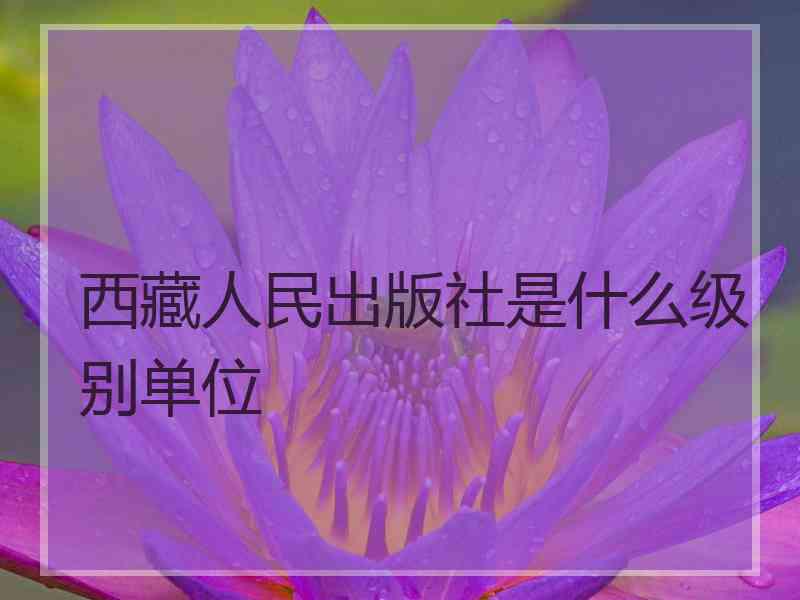 西藏人民出版社是什么级别单位