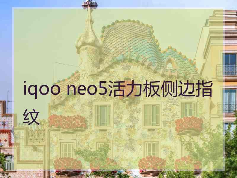 iqoo neo5活力板侧边指纹