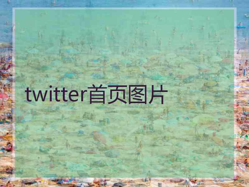 twitter首页图片