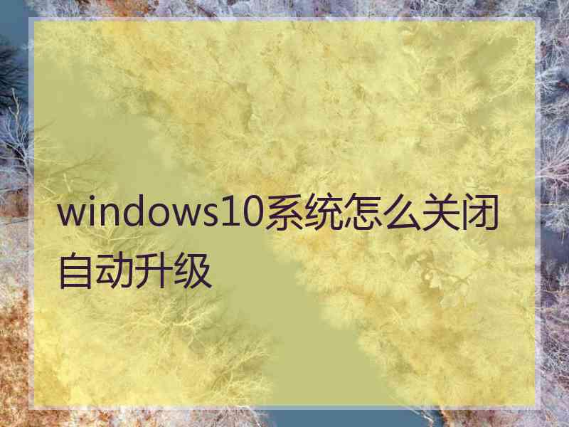 windows10系统怎么关闭自动升级